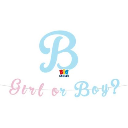 Festone Baby Girl or Boy? Gender Reveal