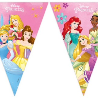 Festone principesse
