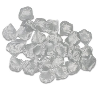 Petali argento cf da 500 pezzi