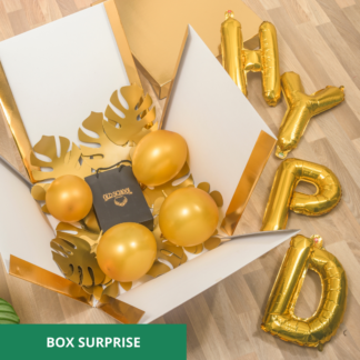 Box Surprise