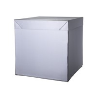 Box Surprise Argento 30x30x30 cm
