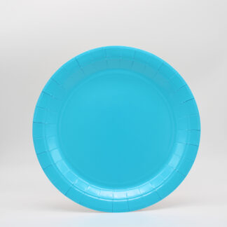 Piatti in carta 24 cm Turchese 15 pezzi